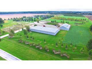 Property photo 5 - REAL ESTATE AUCTION - 80.9+/- ACRES IN 3 TRACTS IN HAMILTON COUNTY, INDIANA