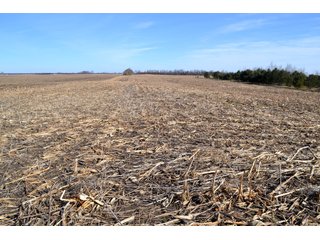 Property photo 11 - LAND AUCTION - 91+/- ACRES OFFERED IN 2 TRACTS IN IROQUOIS COUNTY, ILLINOIS