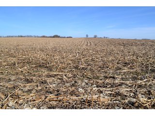 Property photo 16 - LAND AUCTION - 91+/- ACRES OFFERED IN 2 TRACTS IN IROQUOIS COUNTY, ILLINOIS