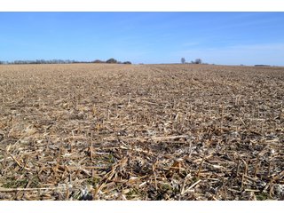 Property photo 18 - LAND AUCTION - 91+/- ACRES OFFERED IN 2 TRACTS IN IROQUOIS COUNTY, ILLINOIS