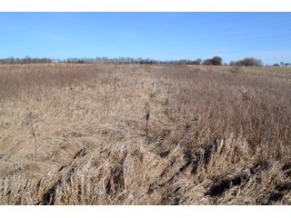 Property photo 9 - LAND AUCTION - 91+/- ACRES OFFERED IN 2 TRACTS IN IROQUOIS COUNTY, ILLINOIS