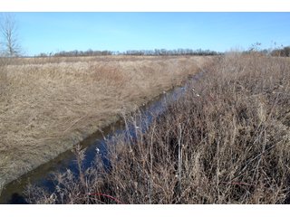 Property photo 19 - LAND AUCTION - 91+/- ACRES OFFERED IN 2 TRACTS IN IROQUOIS COUNTY, ILLINOIS