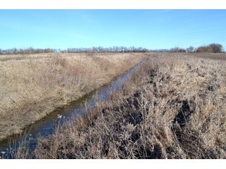 Property photo 13 - LAND AUCTION - 91+/- ACRES OFFERED IN 2 TRACTS IN IROQUOIS COUNTY, ILLINOIS