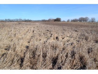 Property photo 12 - LAND AUCTION - 91+/- ACRES OFFERED IN 2 TRACTS IN IROQUOIS COUNTY, ILLINOIS