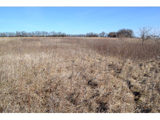Property photo 17 - LAND AUCTION - 91+/- ACRES OFFERED IN 2 TRACTS IN IROQUOIS COUNTY, ILLINOIS