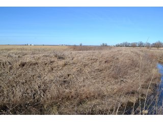 Property photo 2 - LAND AUCTION - 91+/- ACRES OFFERED IN 2 TRACTS IN IROQUOIS COUNTY, ILLINOIS