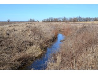 Property photo 10 - LAND AUCTION - 91+/- ACRES OFFERED IN 2 TRACTS IN IROQUOIS COUNTY, ILLINOIS