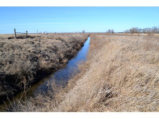 Property photo 14 - LAND AUCTION - 91+/- ACRES OFFERED IN 2 TRACTS IN IROQUOIS COUNTY, ILLINOIS