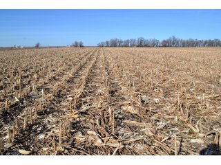 Property photo 20 - LAND AUCTION - 91+/- ACRES OFFERED IN 2 TRACTS IN IROQUOIS COUNTY, ILLINOIS