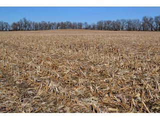 Property photo 6 - LAND AUCTION - 91+/- ACRES OFFERED IN 2 TRACTS IN IROQUOIS COUNTY, ILLINOIS