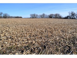 Property photo 5 - LAND AUCTION - 91+/- ACRES OFFERED IN 2 TRACTS IN IROQUOIS COUNTY, ILLINOIS