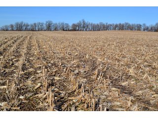 Property photo 7 - LAND AUCTION - 91+/- ACRES OFFERED IN 2 TRACTS IN IROQUOIS COUNTY, ILLINOIS