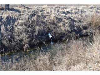 Property photo 8 - LAND AUCTION - 91+/- ACRES OFFERED IN 2 TRACTS IN IROQUOIS COUNTY, ILLINOIS