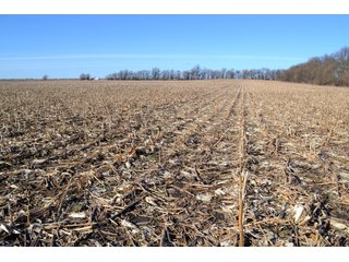 Property photo 3 - LAND AUCTION - 91+/- ACRES OFFERED IN 2 TRACTS IN IROQUOIS COUNTY, ILLINOIS