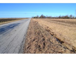 Property photo 4 - LAND AUCTION - 91+/- ACRES OFFERED IN 2 TRACTS IN IROQUOIS COUNTY, ILLINOIS