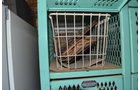 Property photo 24 - LARGE COLLECTIBLE & ANTIQUE AUCTION IN ALLEN COUNTY, INDIANA