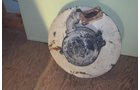 Property photo 249 - LARGE COLLECTIBLE & ANTIQUE AUCTION IN ALLEN COUNTY, INDIANA