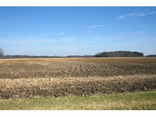 Property photo 10 - LAND AUCTION - 157+/- ACRES OFFERED IN 4 TRACTS IN WHITLEY COUNTY, INDIANA