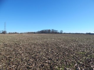 Property photo 24 - REAL ESTATE AUCTION - 100+/- ACRES IN 5 TRACTS IN NOBLE COUNTY, INDIANA