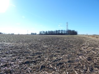 Property photo 5 - REAL ESTATE AUCTION - 100+/- ACRES IN 5 TRACTS IN NOBLE COUNTY, INDIANA