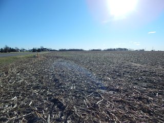 Property photo 26 - REAL ESTATE AUCTION - 100+/- ACRES IN 5 TRACTS IN NOBLE COUNTY, INDIANA