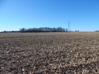 Property photo 8 - REAL ESTATE AUCTION - 100+/- ACRES IN 5 TRACTS IN NOBLE COUNTY, INDIANA