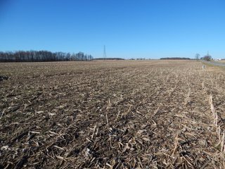 Property photo 7 - REAL ESTATE AUCTION - 100+/- ACRES IN 5 TRACTS IN NOBLE COUNTY, INDIANA