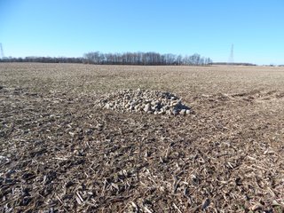 Property photo 14 - REAL ESTATE AUCTION - 100+/- ACRES IN 5 TRACTS IN NOBLE COUNTY, INDIANA