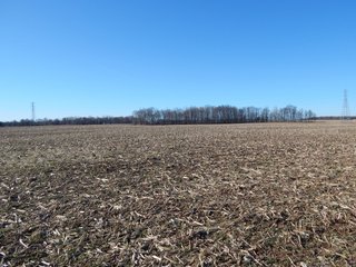 Property photo 19 - REAL ESTATE AUCTION - 100+/- ACRES IN 5 TRACTS IN NOBLE COUNTY, INDIANA