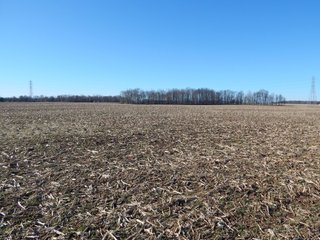 Property photo 6 - REAL ESTATE AUCTION - 100+/- ACRES IN 5 TRACTS IN NOBLE COUNTY, INDIANA