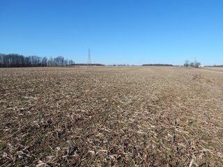 Property photo 11 - REAL ESTATE AUCTION - 100+/- ACRES IN 5 TRACTS IN NOBLE COUNTY, INDIANA