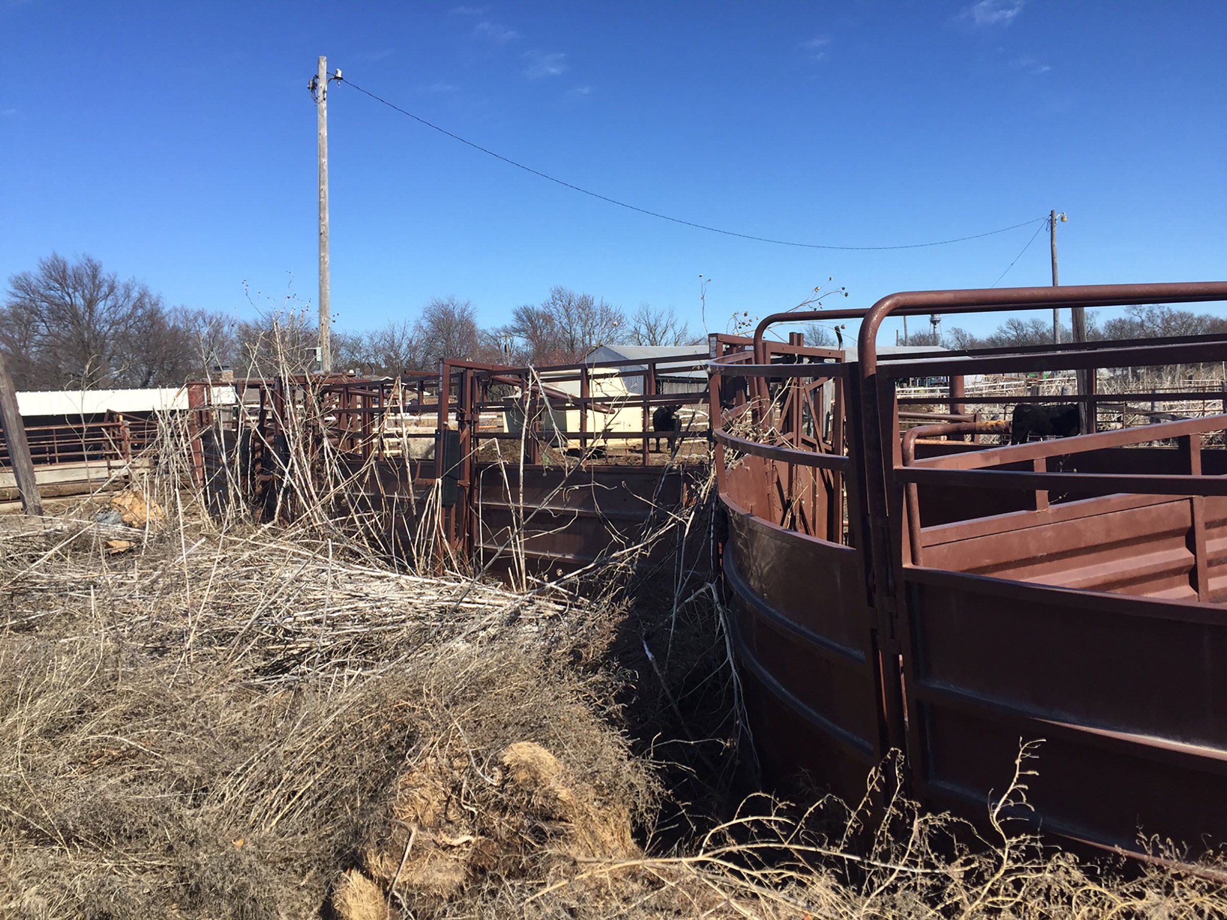 Property photo 78 - HANES FARM EQUIPMENT AUCTION IN CASS COUNTY, NEBRASKA