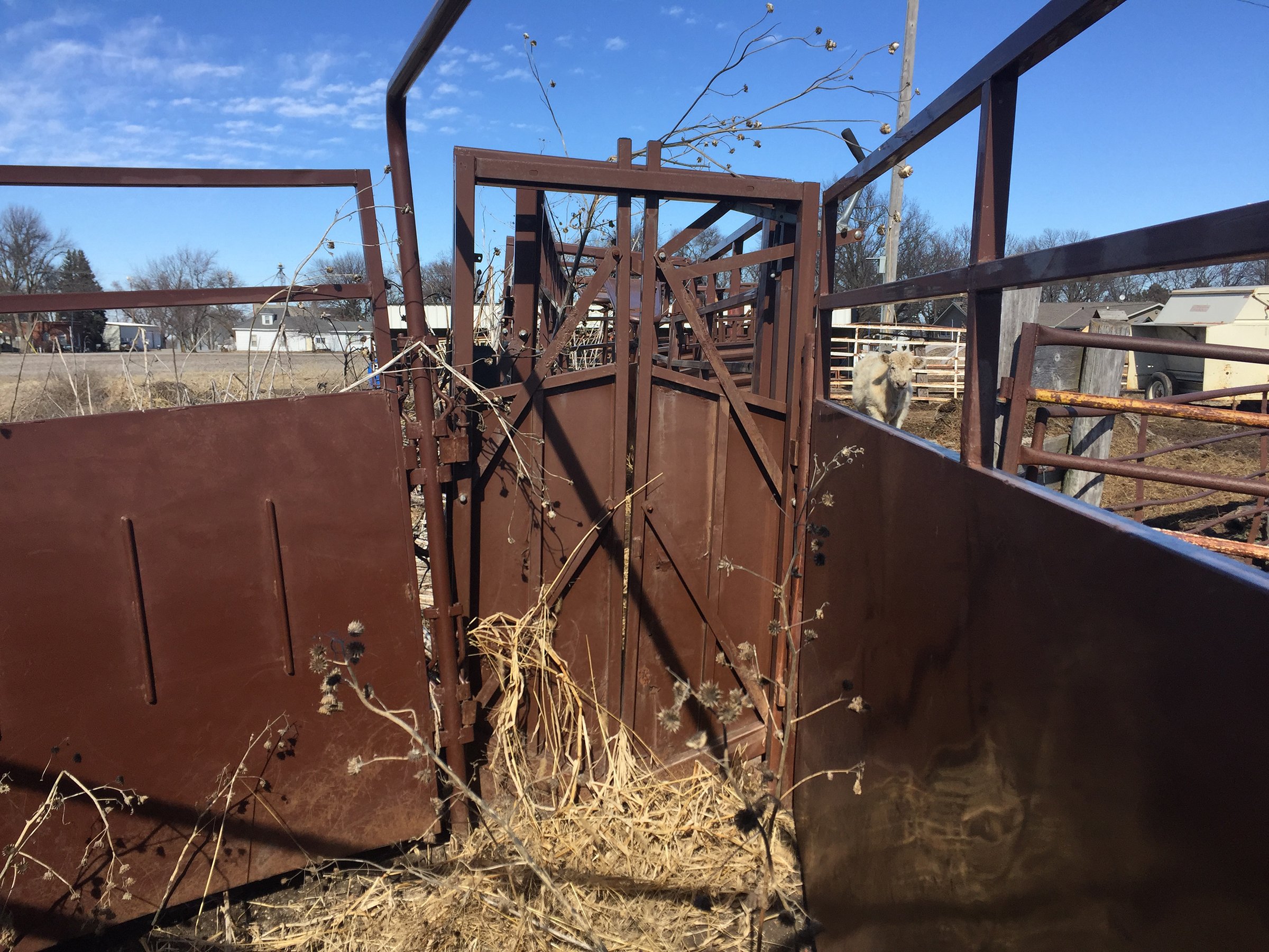 Property photo 72 - HANES FARM EQUIPMENT AUCTION IN CASS COUNTY, NEBRASKA
