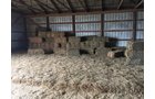 Property photo 54 - PERSONAL PROPERTY AUCTION IN OKMULGEE CO., OKLAHOMA