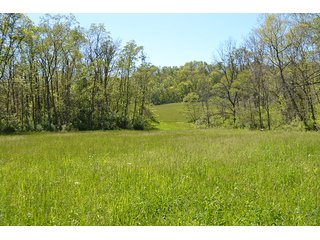 Property photo 12 - LAND AUCTION - 937+/- ACRES OFFERED IN 28 TRACTS IN MORGAN CO., OHIO