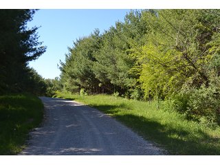 Property photo 9 - LAND AUCTION - 937+/- ACRES OFFERED IN 28 TRACTS IN MORGAN CO., OHIO