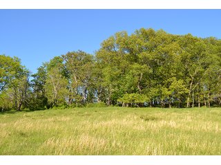 Property photo 14 - LAND AUCTION - 937+/- ACRES OFFERED IN 28 TRACTS IN MORGAN CO., OHIO