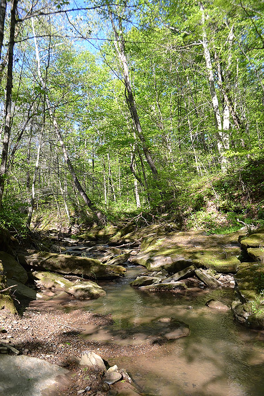 LAND AUCTION - 937+/- ACRES OFFERED IN 28 TRACTS IN MORGAN CO., OHIO