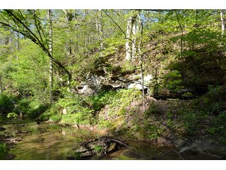 Property photo 17 - LAND AUCTION - 937+/- ACRES OFFERED IN 28 TRACTS IN MORGAN CO., OHIO