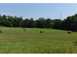 Property photo 11 - LAND AUCTION - 937+/- ACRES OFFERED IN 28 TRACTS IN MORGAN CO., OHIO