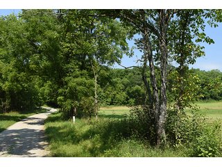 Property photo 13 - LAND AUCTION - 937+/- ACRES OFFERED IN 28 TRACTS IN MORGAN CO., OHIO