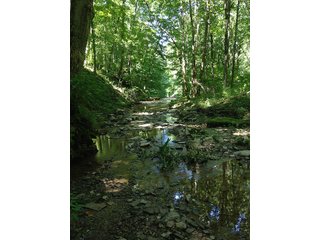 Property photo 16 - LAND AUCTION - 937+/- ACRES OFFERED IN 28 TRACTS IN MORGAN CO., OHIO
