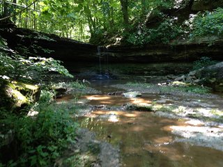 Property photo 19 - LAND AUCTION - 937+/- ACRES OFFERED IN 28 TRACTS IN MORGAN CO., OHIO