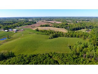 Property photo 2 - LAND AUCTION - 937+/- ACRES OFFERED IN 28 TRACTS IN MORGAN CO., OHIO