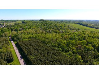 Property photo 3 - LAND AUCTION - 937+/- ACRES OFFERED IN 28 TRACTS IN MORGAN CO., OHIO