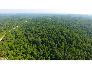 Property photo 1 - LAND AUCTION - 937+/- ACRES OFFERED IN 28 TRACTS IN MORGAN CO., OHIO