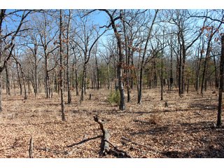 Property photo 6 - REAL ESTATE AUCTION - 1,000+/- ACRES OFFERED IN 10 TRACTS IN PITTSBURG CO., OKLAHOMA