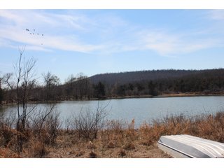 Property photo 65 - REAL ESTATE AUCTION - 1,000+/- ACRES OFFERED IN 10 TRACTS IN PITTSBURG CO., OKLAHOMA