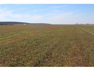 Property photo 11 - REAL ESTATE AUCTION - 1,000+/- ACRES OFFERED IN 10 TRACTS IN PITTSBURG CO., OKLAHOMA