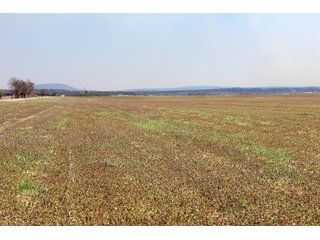 Property photo 10 - REAL ESTATE AUCTION - 1,000+/- ACRES OFFERED IN 10 TRACTS IN PITTSBURG CO., OKLAHOMA
